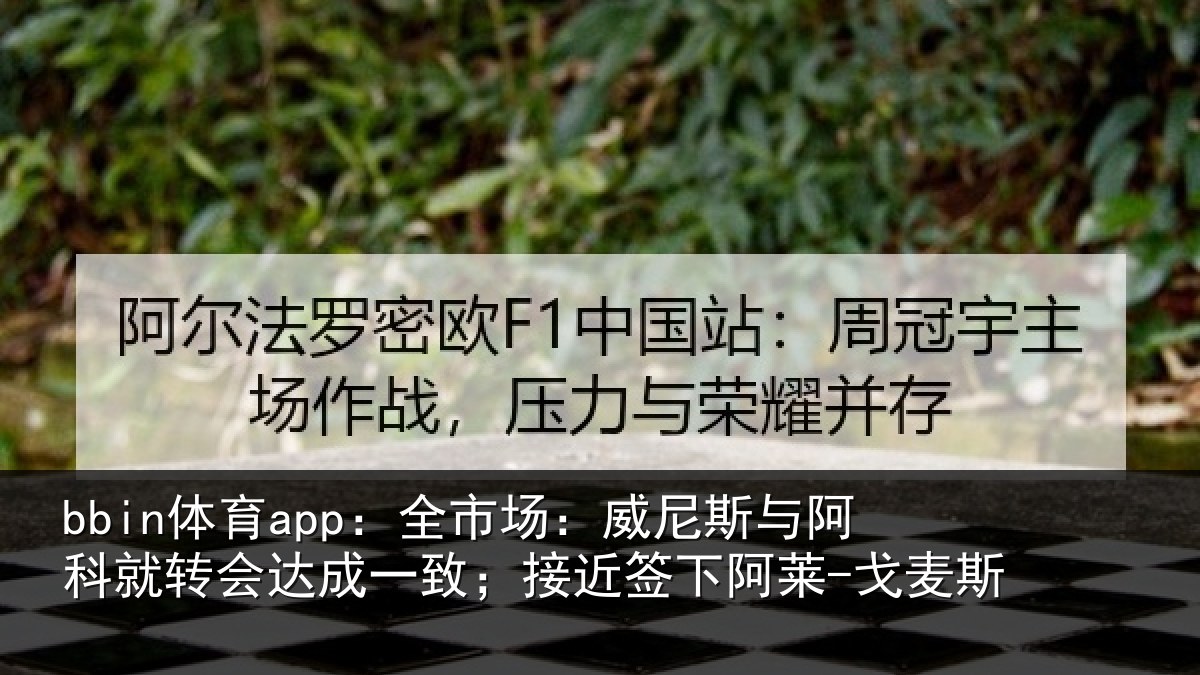 bbin体育app：全市相关情况转会相关情况阿莱-戈麦斯