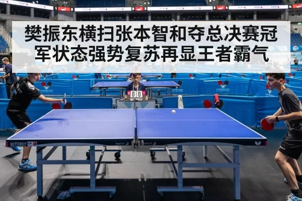 樊振东横扫张本智和夺总决赛冠军状态强势复苏再显王者霸气