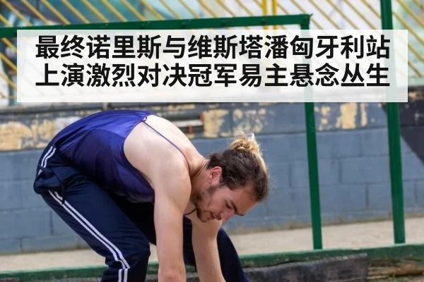 最终诺里斯与维斯塔潘匈牙利站上演激烈对决冠军易主悬念丛生