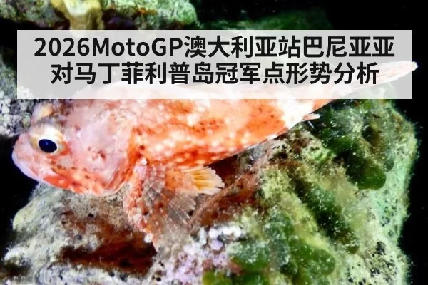 2026MotoGP澳大利亚站巴尼亚亚对马丁菲利普岛冠军点形势分析